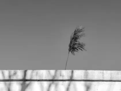 Jazz Kasyno Aplikacja mobilna